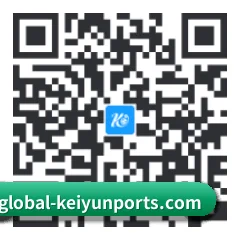 iOS 苹果版 二维码
